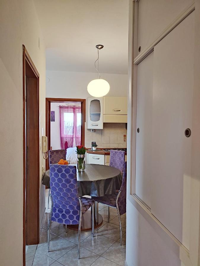 Apartment Dario زادار المظهر الخارجي الصورة