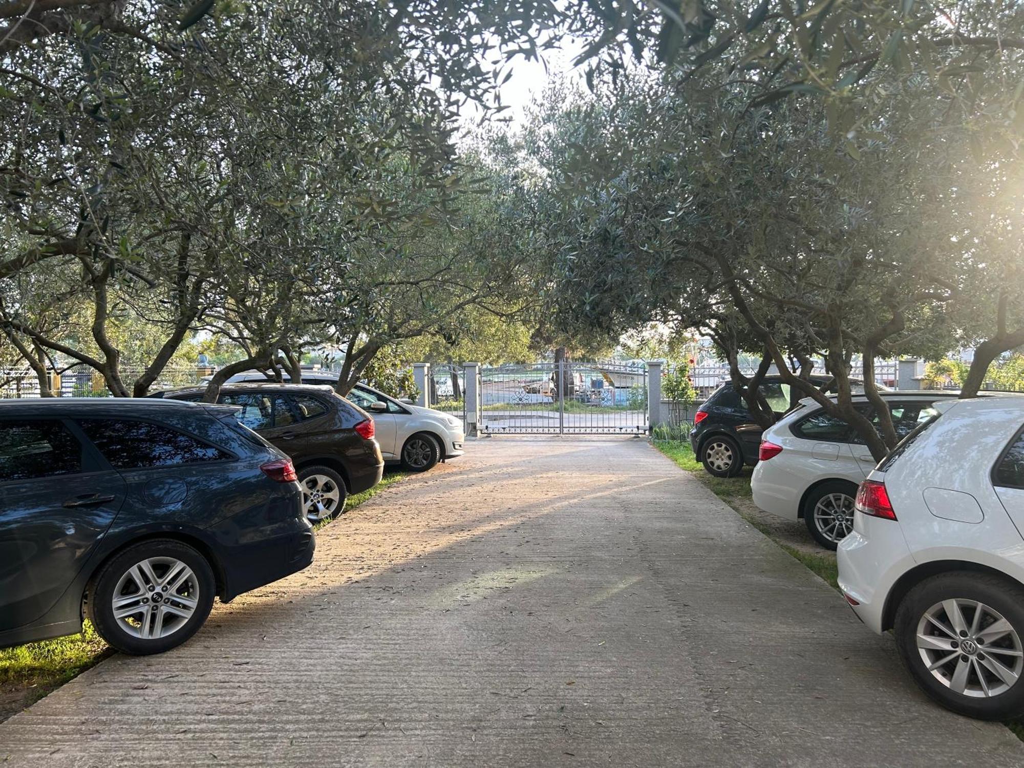 Apartment Dario زادار المظهر الخارجي الصورة